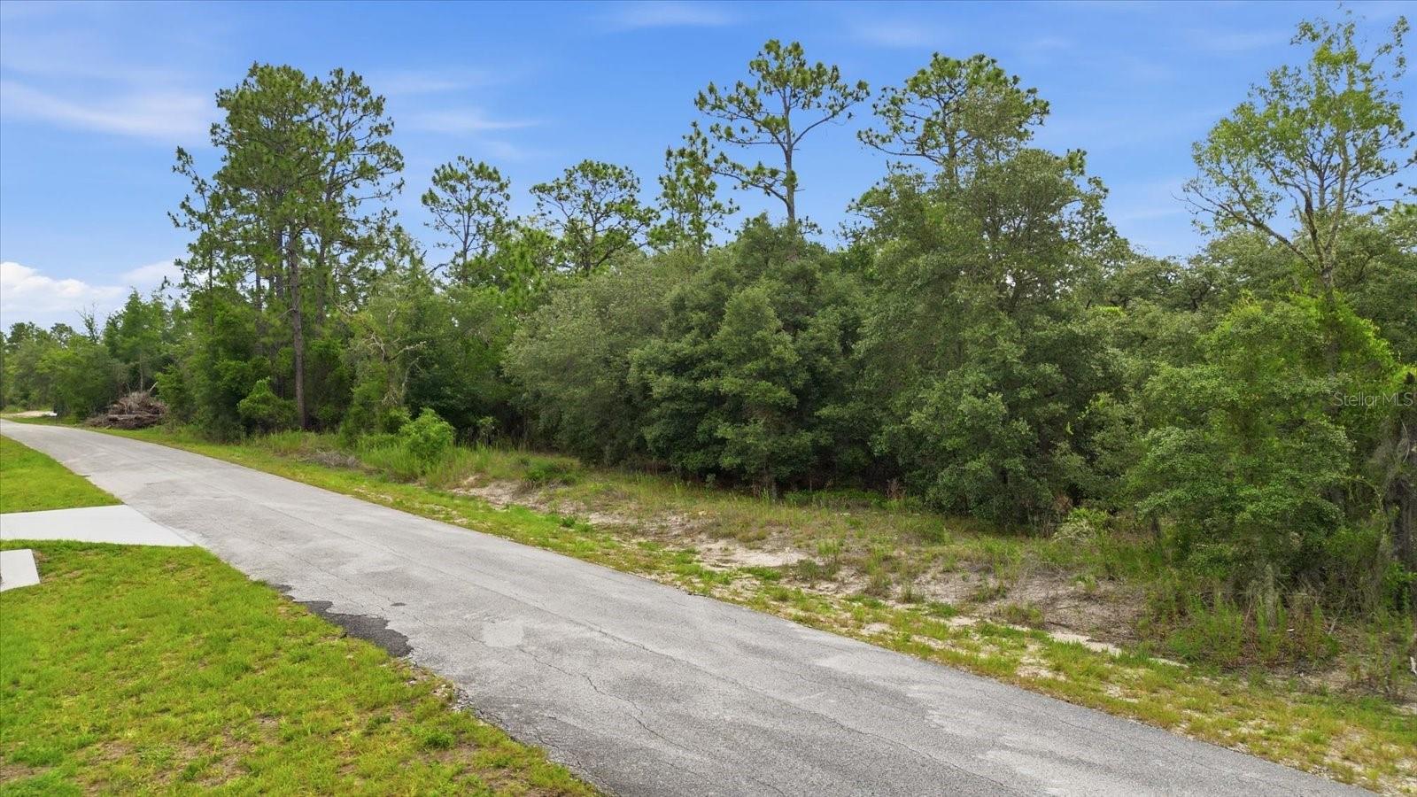 0000 SW SANDS PT AVE LOT 32, DUNNELLON, FL — photo 2