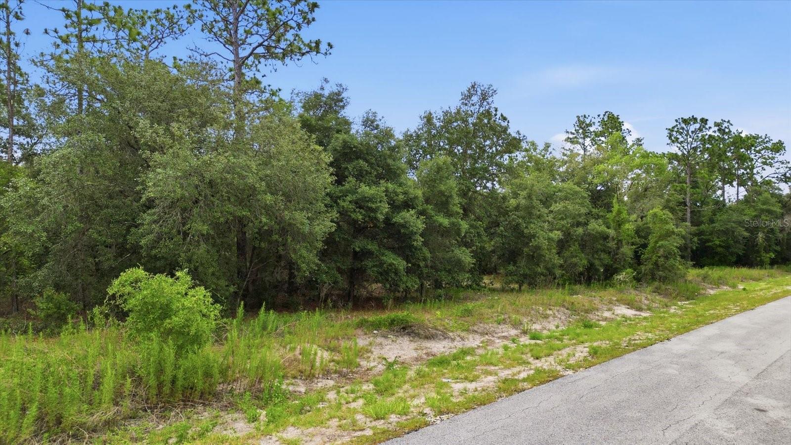 0000 SW SANDS PT AVE LOT 32, DUNNELLON, FL — photo 3