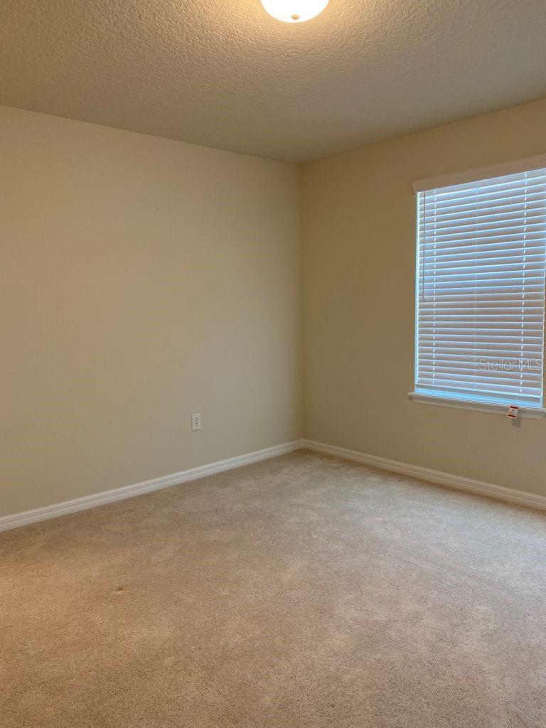 2101 GOPHER TORTOISE TER, OAKLAND, FL — photo 15