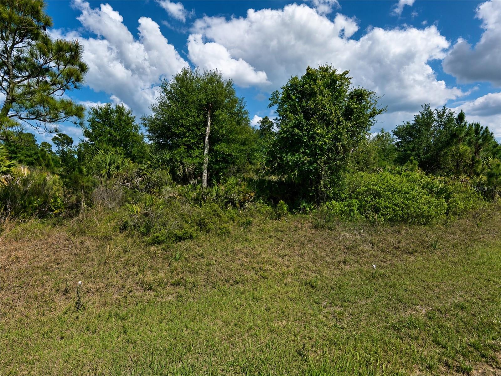 Lot 11 CHINABOX ST, NORTH PORT, FL