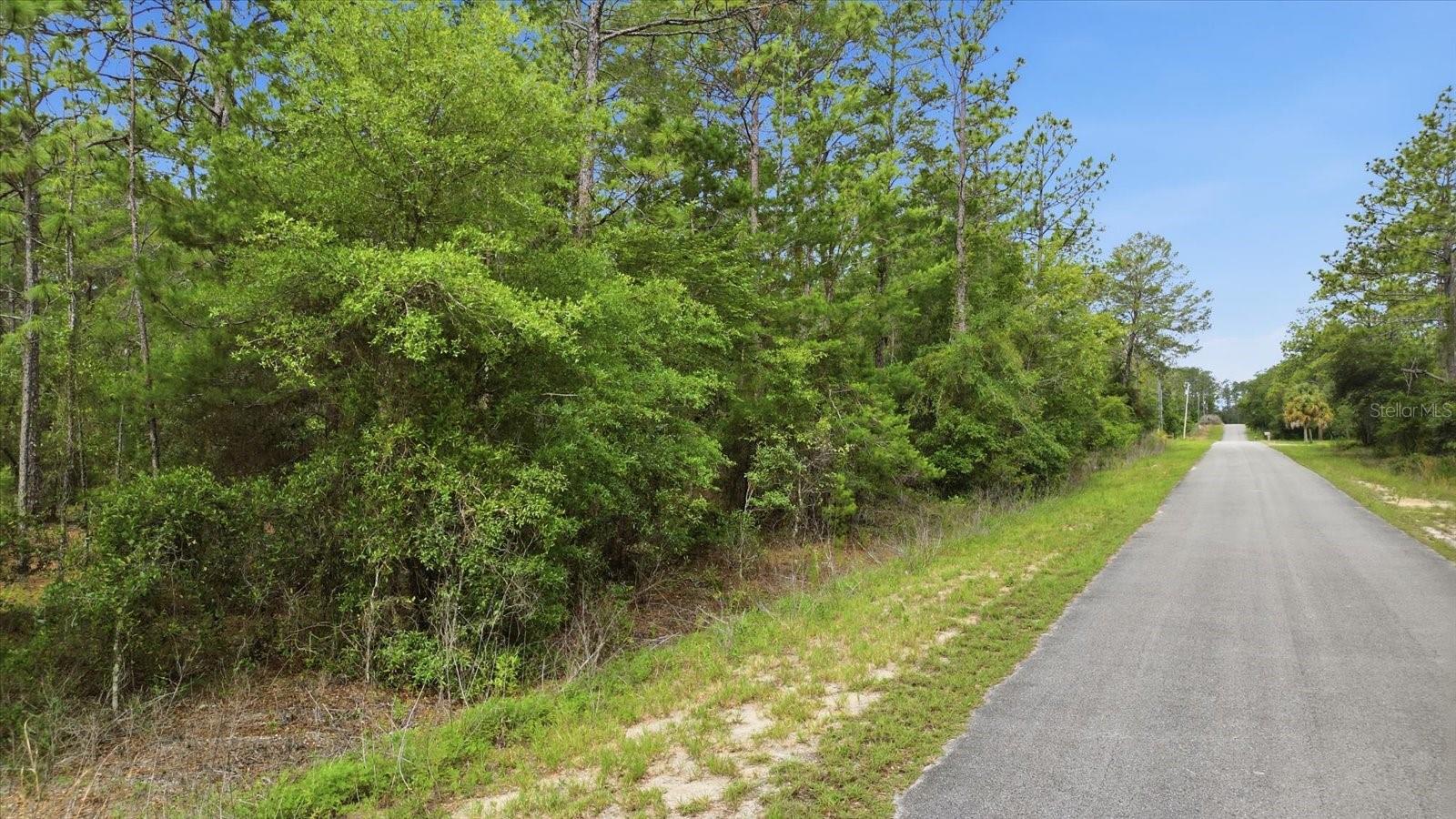 0000 SW BEAVER DR, DUNNELLON, FL — photo 2