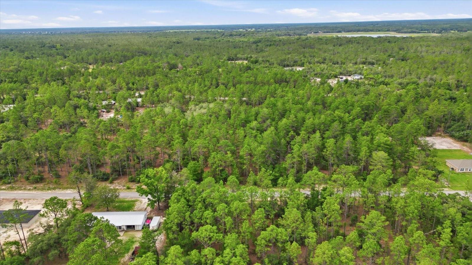 0000 SW BEAVER DR, DUNNELLON, FL — photo 3