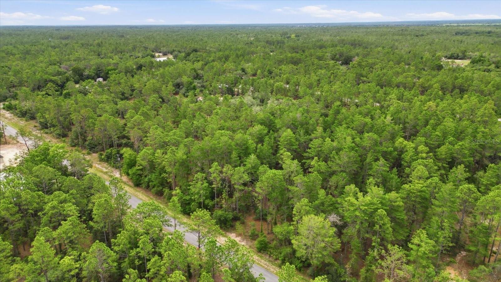 0000 SW BEAVER DR, DUNNELLON, FL — photo 5
