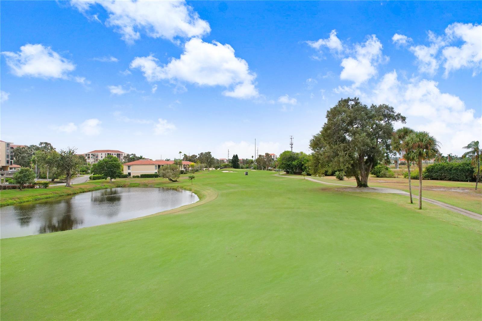 6104 PALMA DEL MAR BLVD S #302, ST PETERSBURG, FL — photo 31