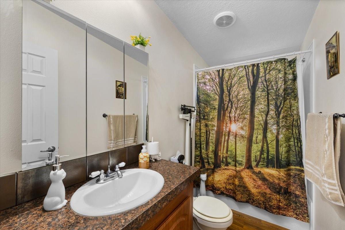 15624 PEACE BLVD, SPRING HILL, FL — photo 27
