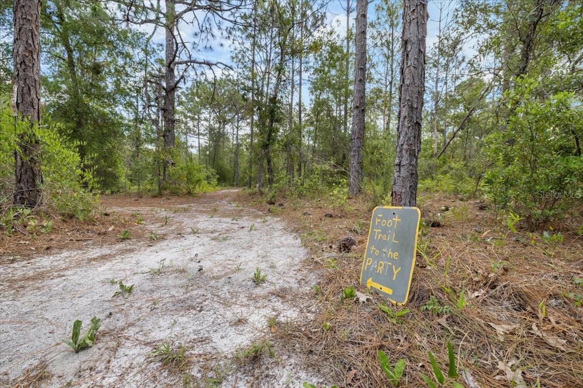 15624 PEACE BLVD, SPRING HILL, FL — photo 40