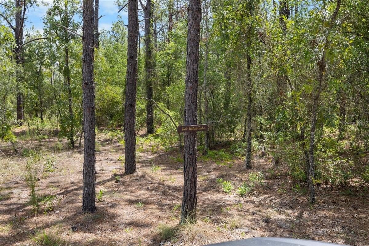 15624 PEACE BLVD, SPRING HILL, FL — photo 45