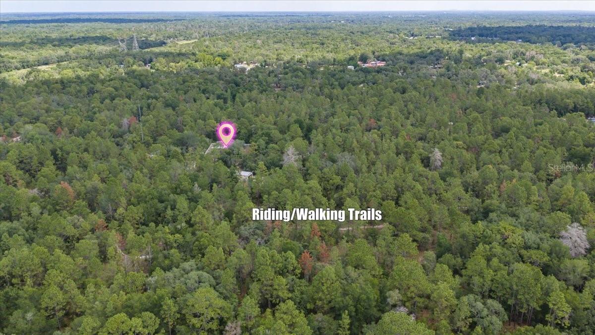 15624 PEACE BLVD, SPRING HILL, FL — photo 53