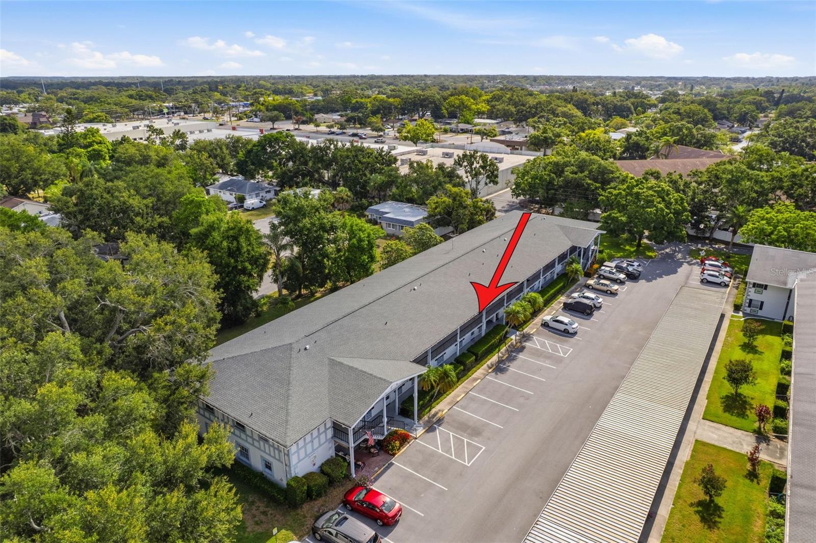 100 GLENNES LN #204, DUNEDIN, FL — photo 34
