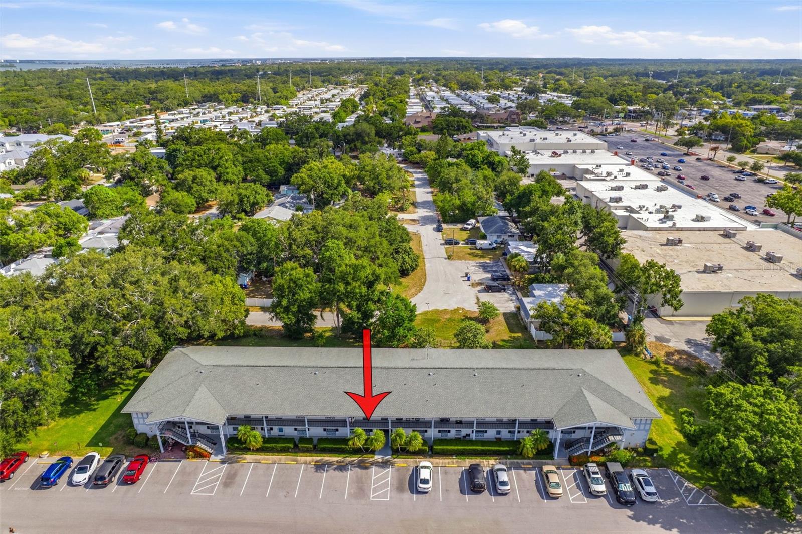 100 GLENNES LN #204, DUNEDIN, FL — photo 35