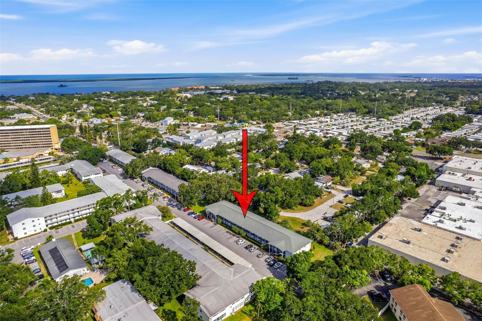 100 GLENNES LN #204, DUNEDIN, FL — photo 39