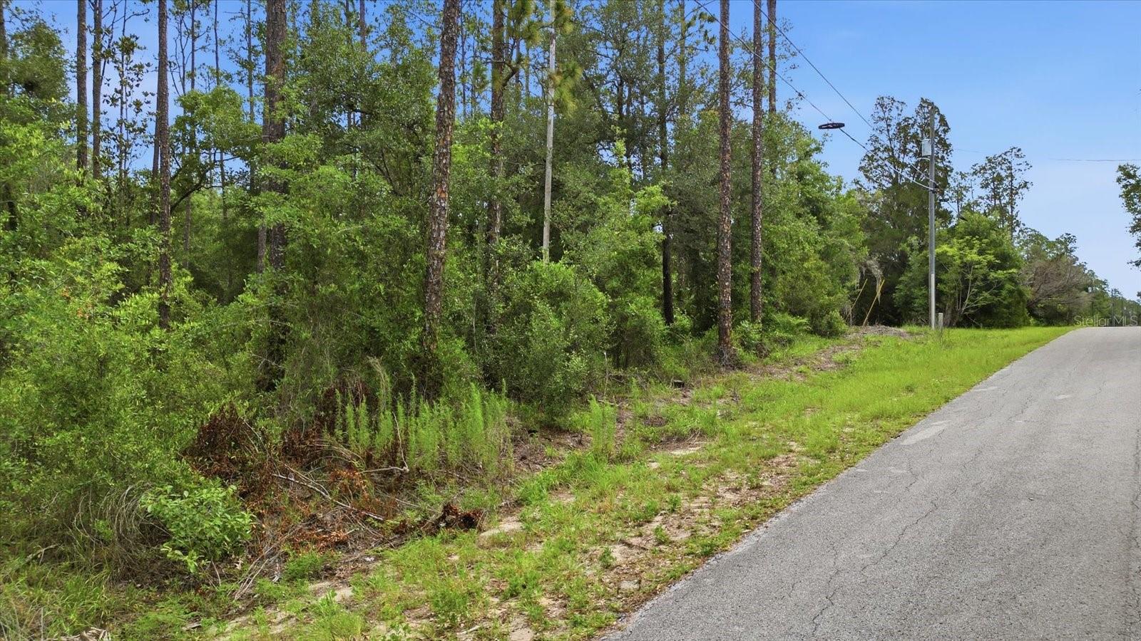 0000 SW NAUTILUS BLVD, DUNNELLON, FL — photo 2