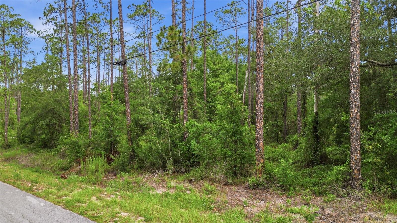 0000 SW NAUTILUS BLVD, DUNNELLON, FL — photo 3