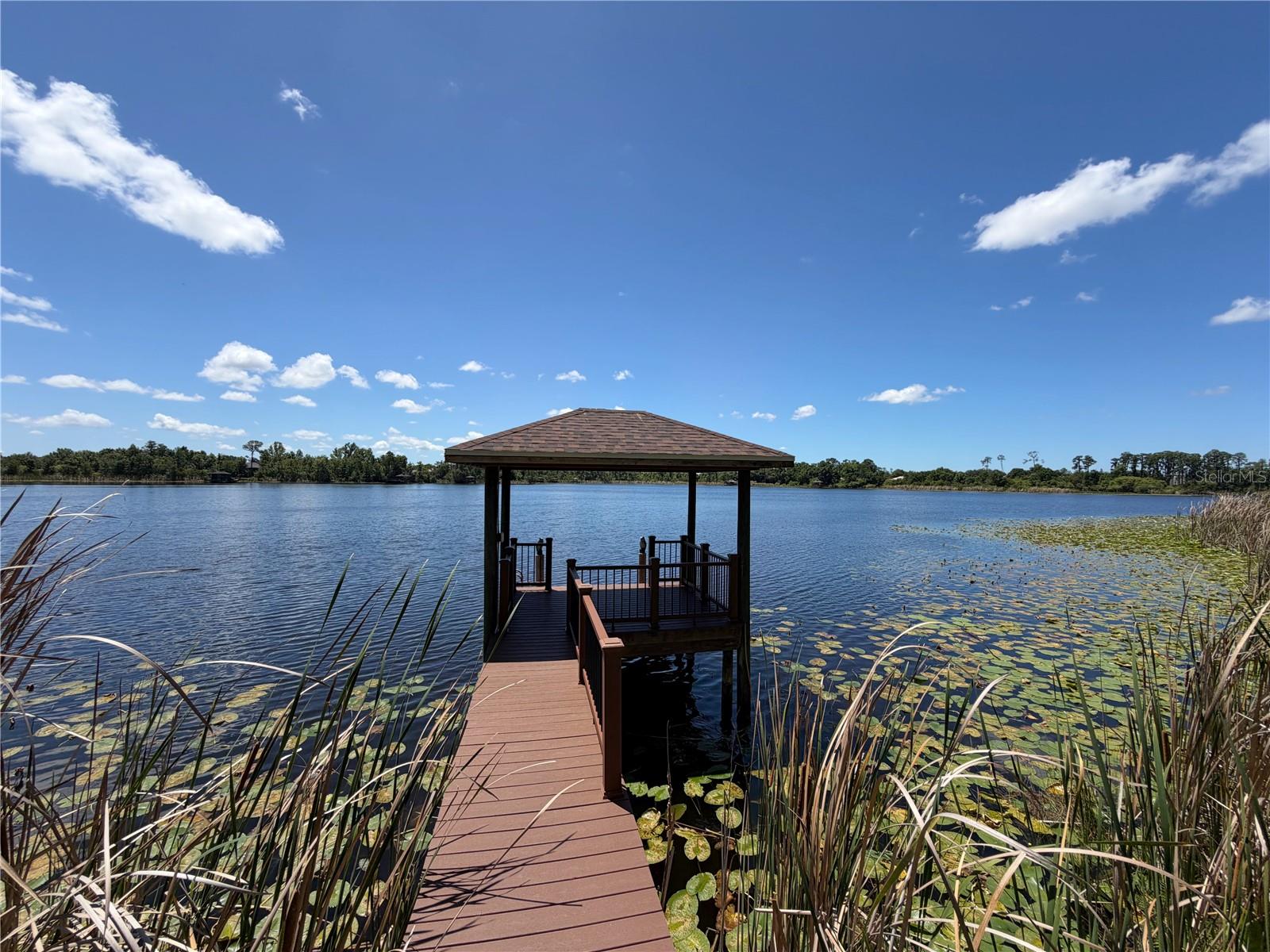 21430 DRAYCOTT WAY, LAND O LAKES, FL — photo 3