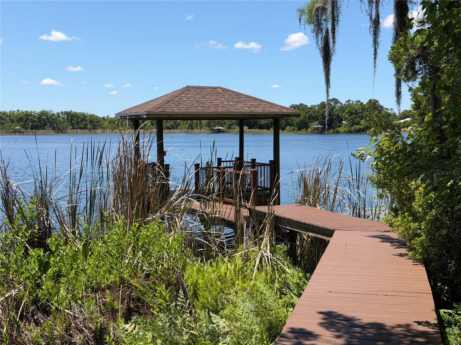 21430 DRAYCOTT WAY, LAND O LAKES, FL — photo 4