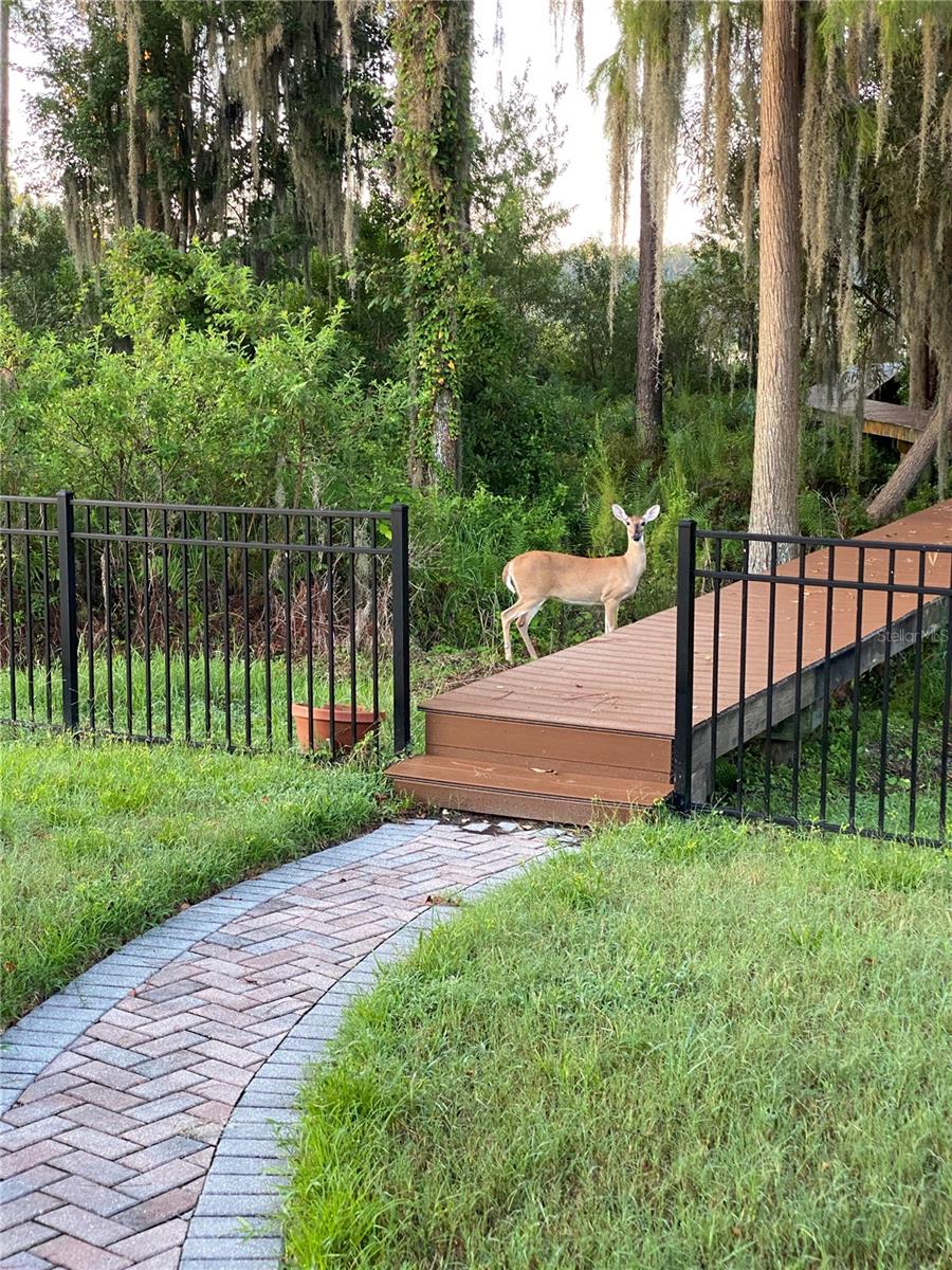 21430 DRAYCOTT WAY, LAND O LAKES, FL — photo 14