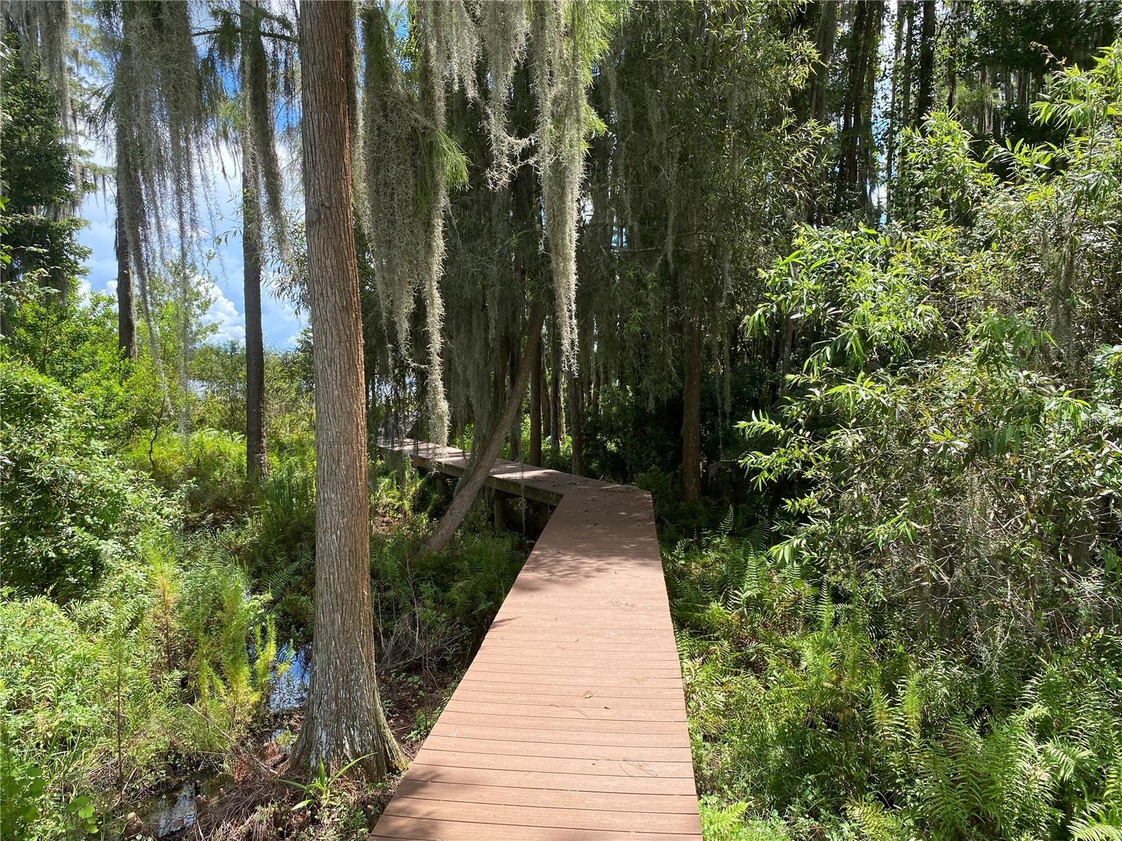 21430 DRAYCOTT WAY, LAND O LAKES, FL — photo 15
