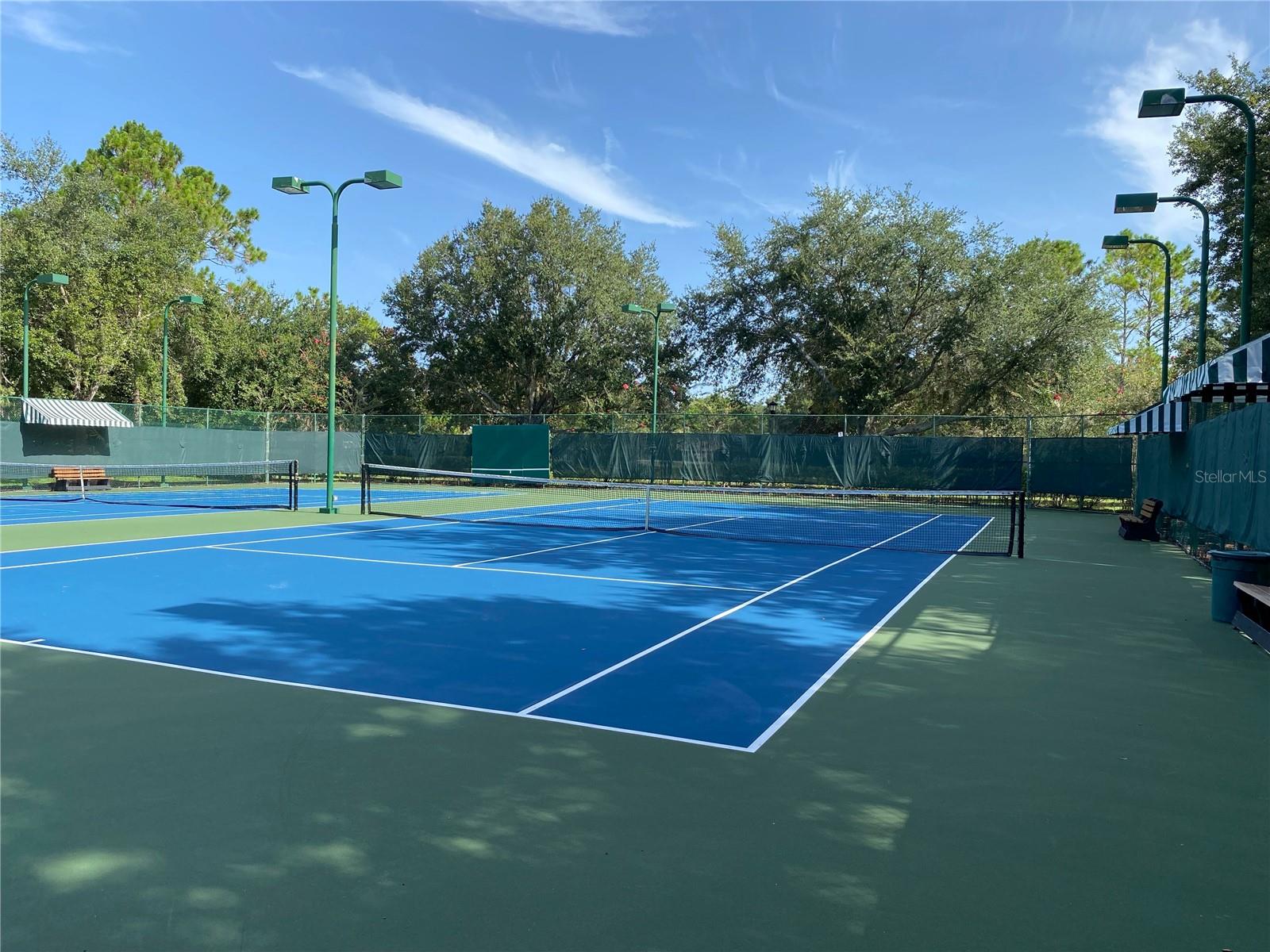 21430 DRAYCOTT WAY, LAND O LAKES, FL — photo 97