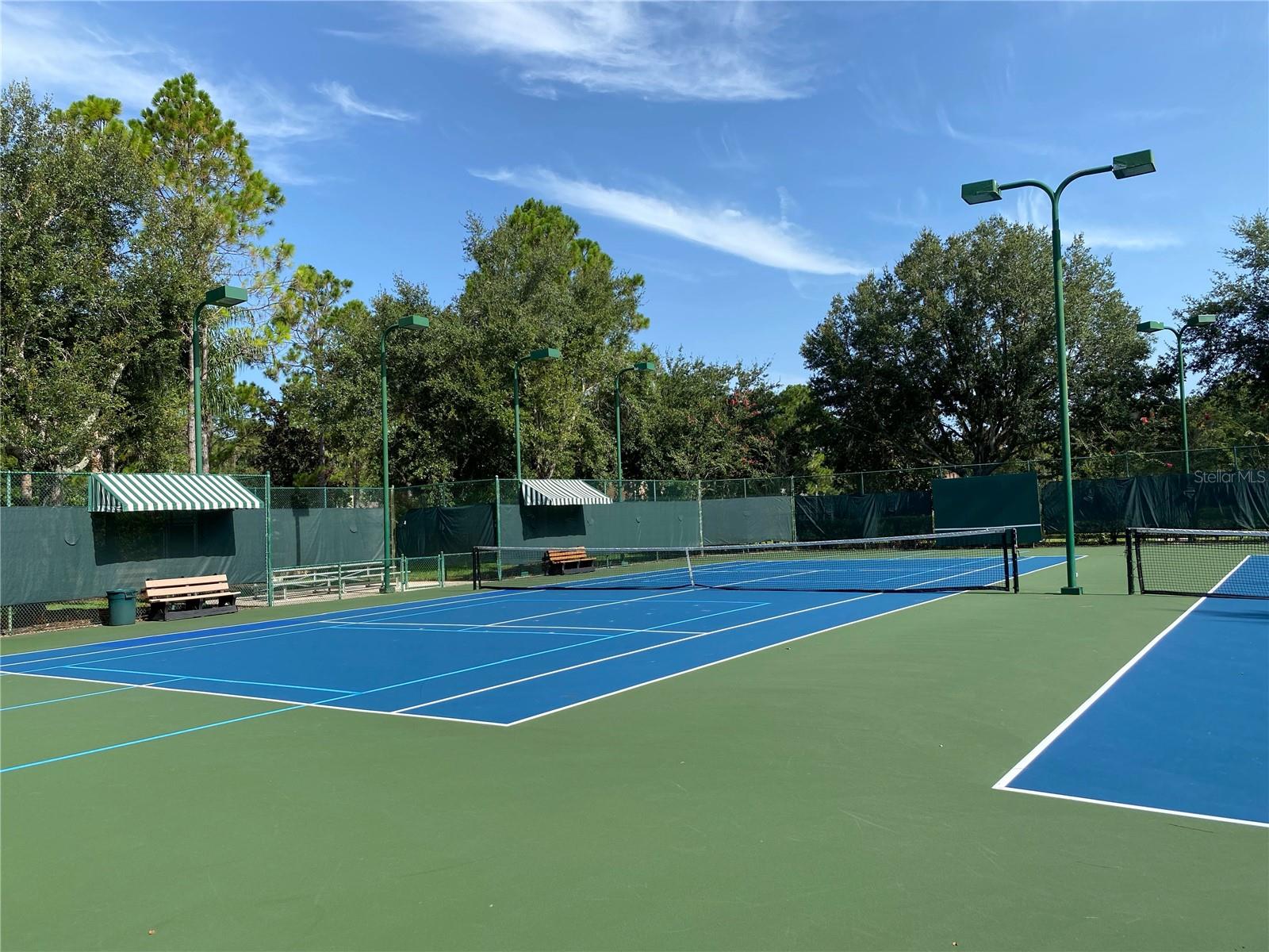 21430 DRAYCOTT WAY, LAND O LAKES, FL — photo 98
