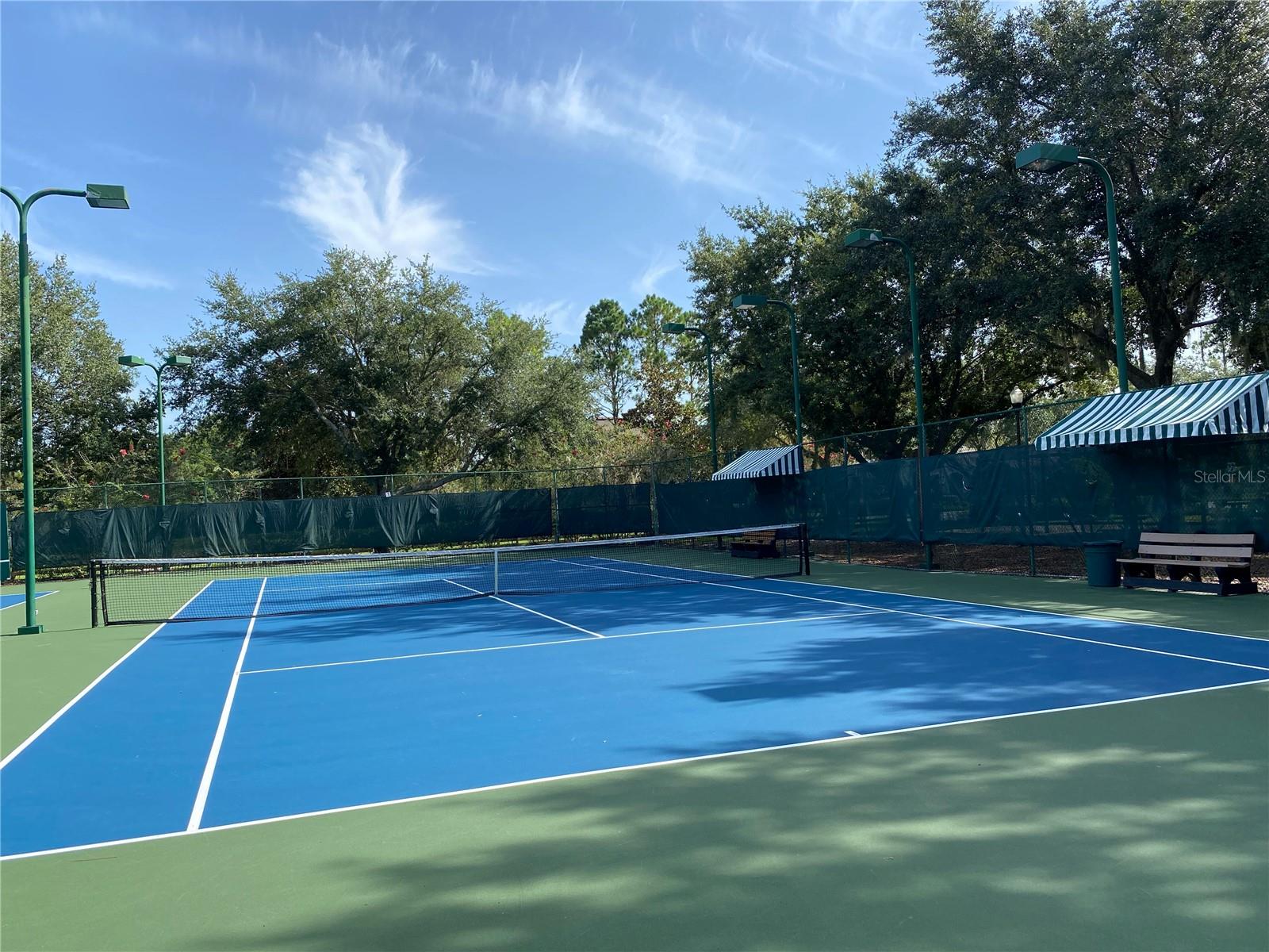 21430 DRAYCOTT WAY, LAND O LAKES, FL — photo 99