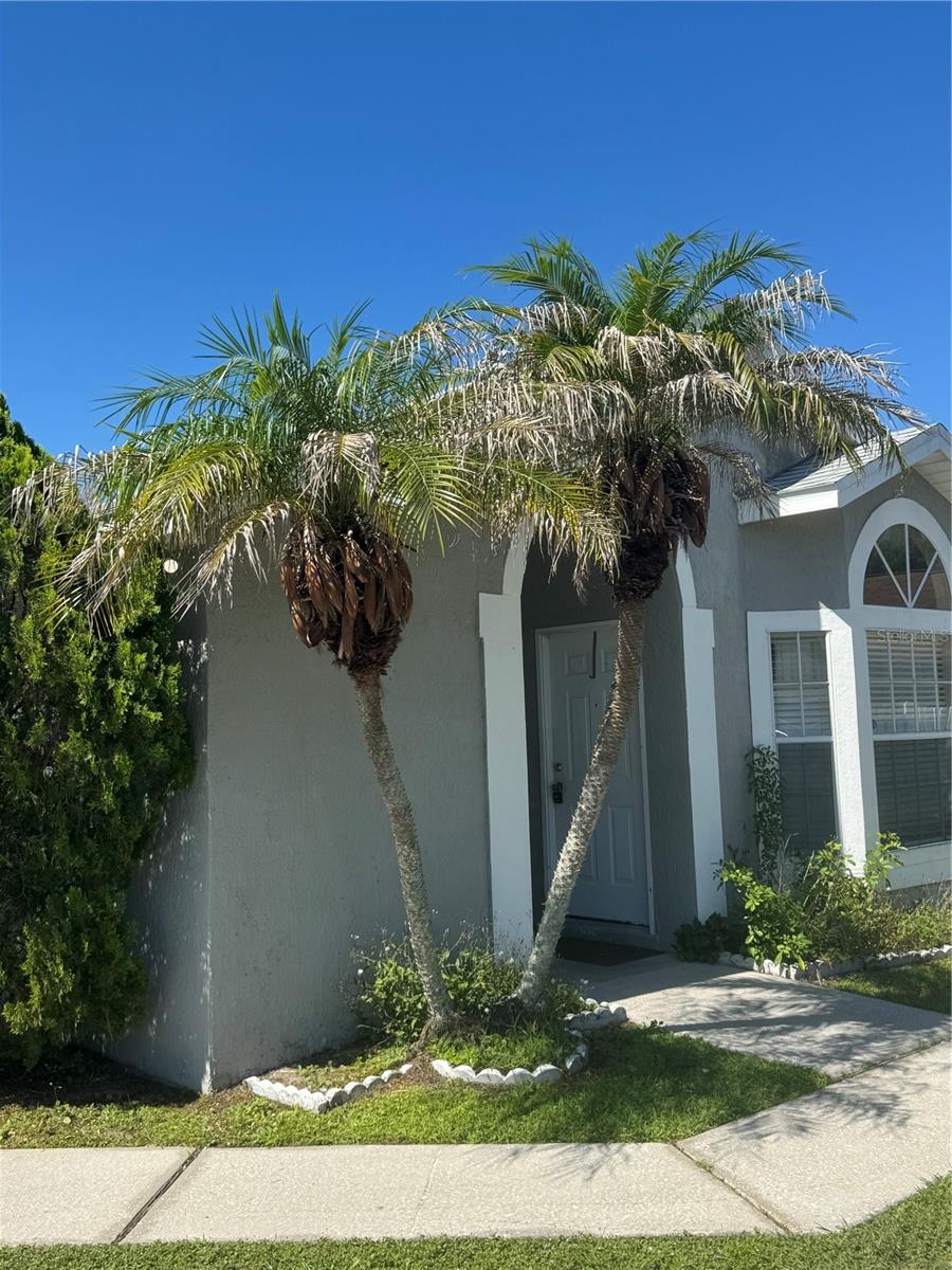 2399 HARBOR TOWN DR, KISSIMMEE, FL