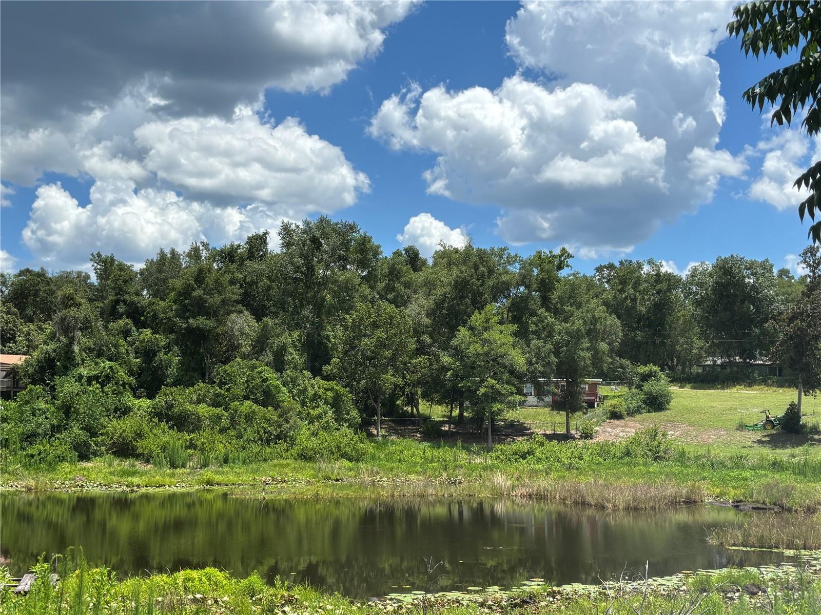 2067 SE 181ST TER, SILVER SPRINGS, FL — photo 2