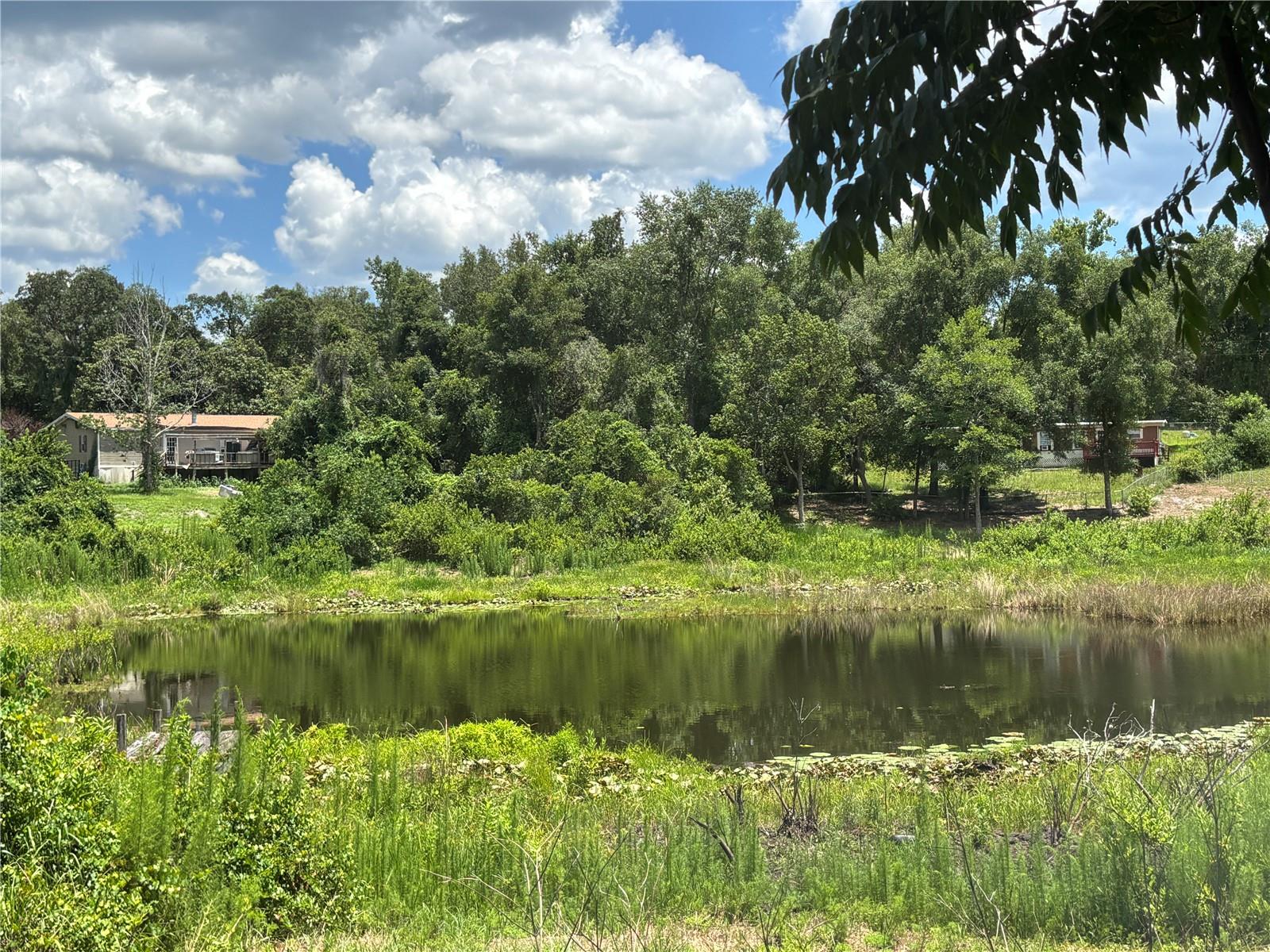 2067 SE 181ST TER, SILVER SPRINGS, FL — photo 3