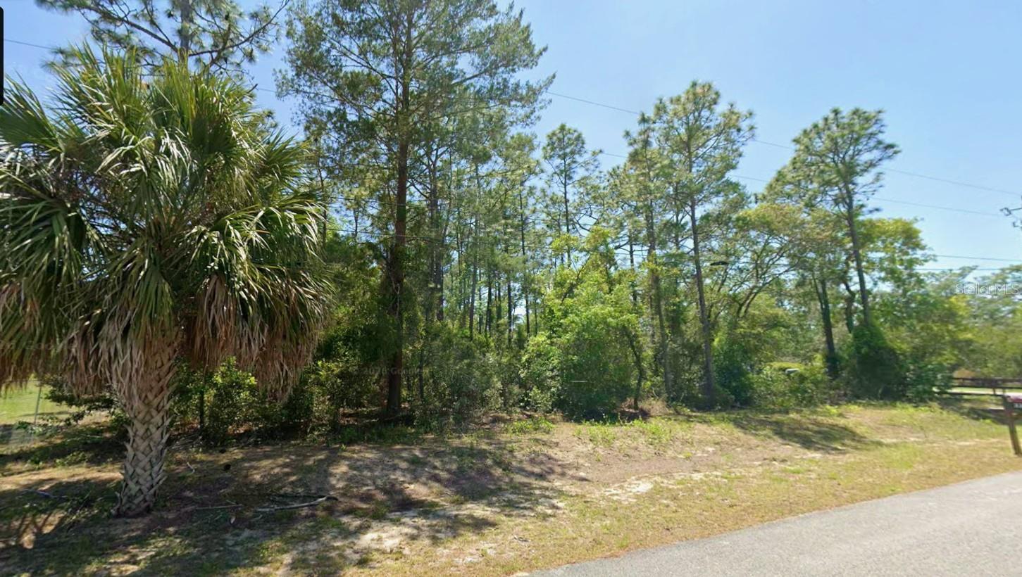 SW NAUTILUS BLVD, DUNNELLON, FL — photo 4