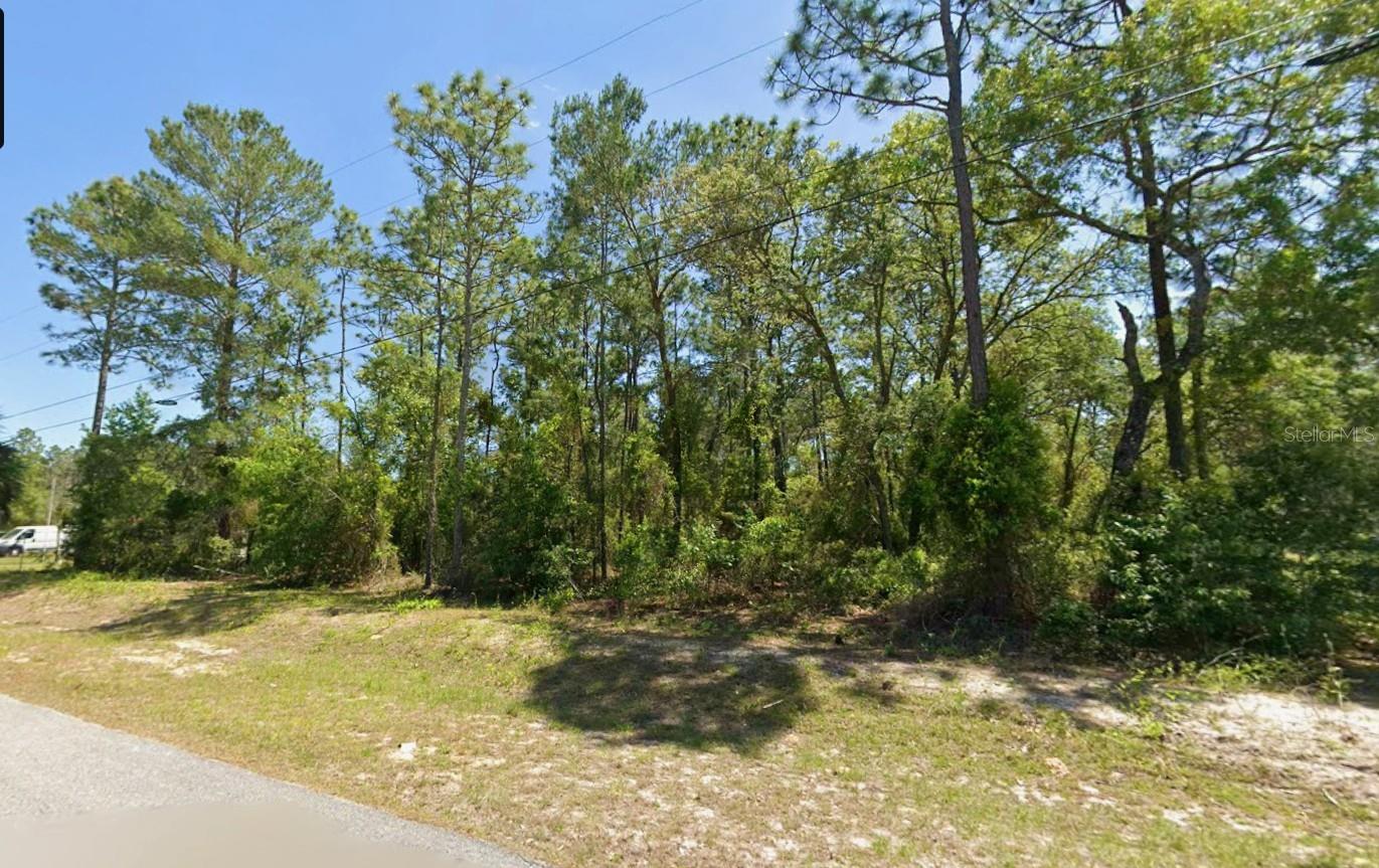 SW NAUTILUS BLVD, DUNNELLON, FL — photo 5