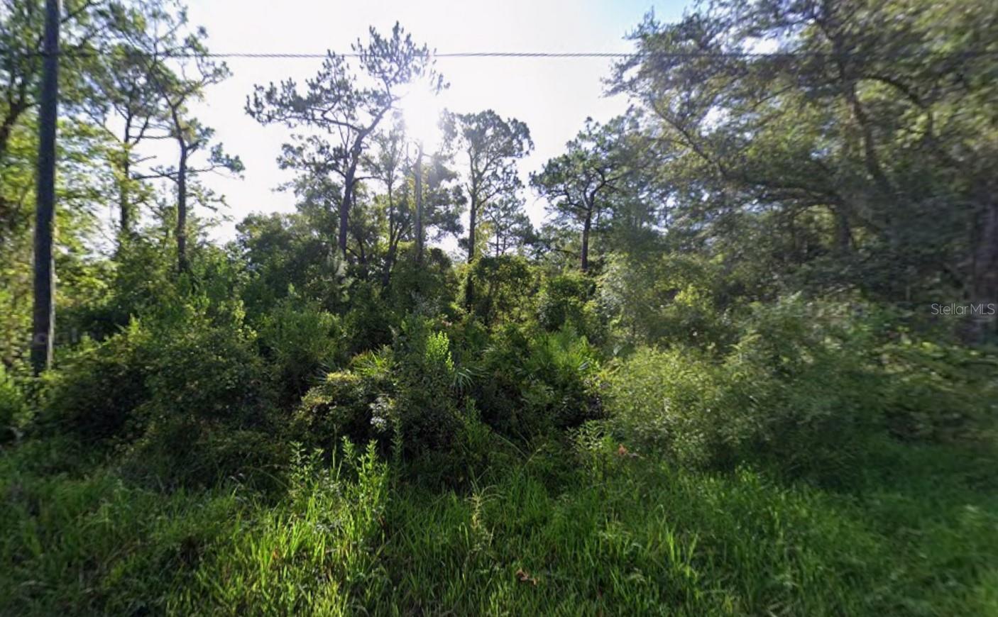 ATLEE ST, NEW PORT RICHEY, FL