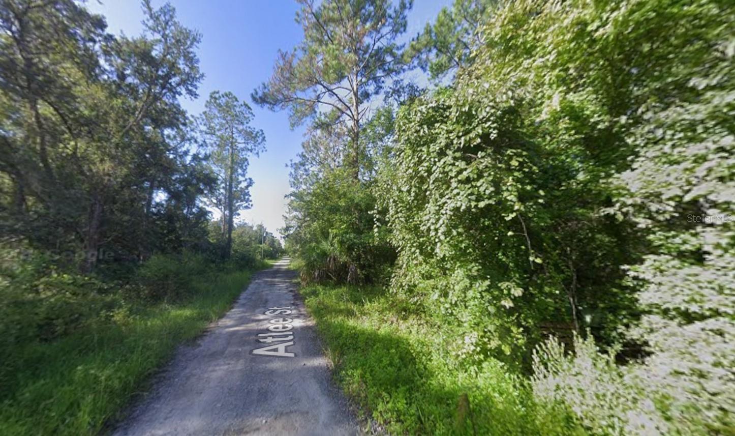 ATLEE ST, NEW PORT RICHEY, FL — photo 2