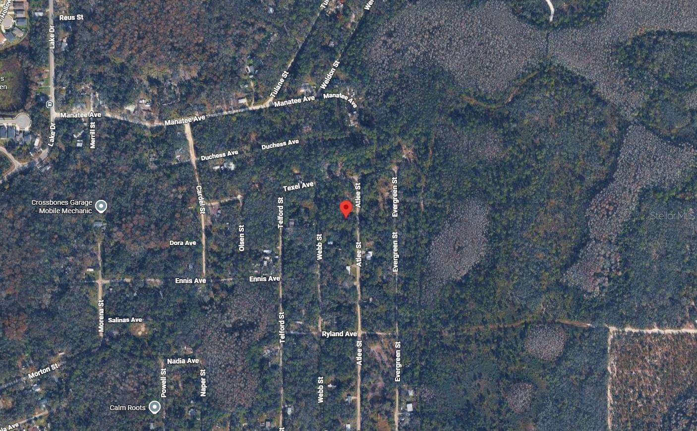 ATLEE ST, NEW PORT RICHEY, FL — photo 3