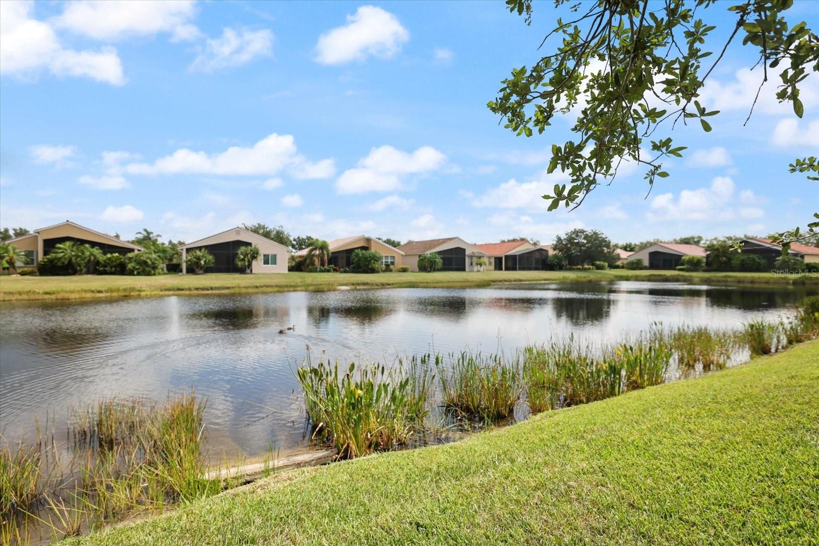 4211 64TH AVE E, SARASOTA, FL — photo 29