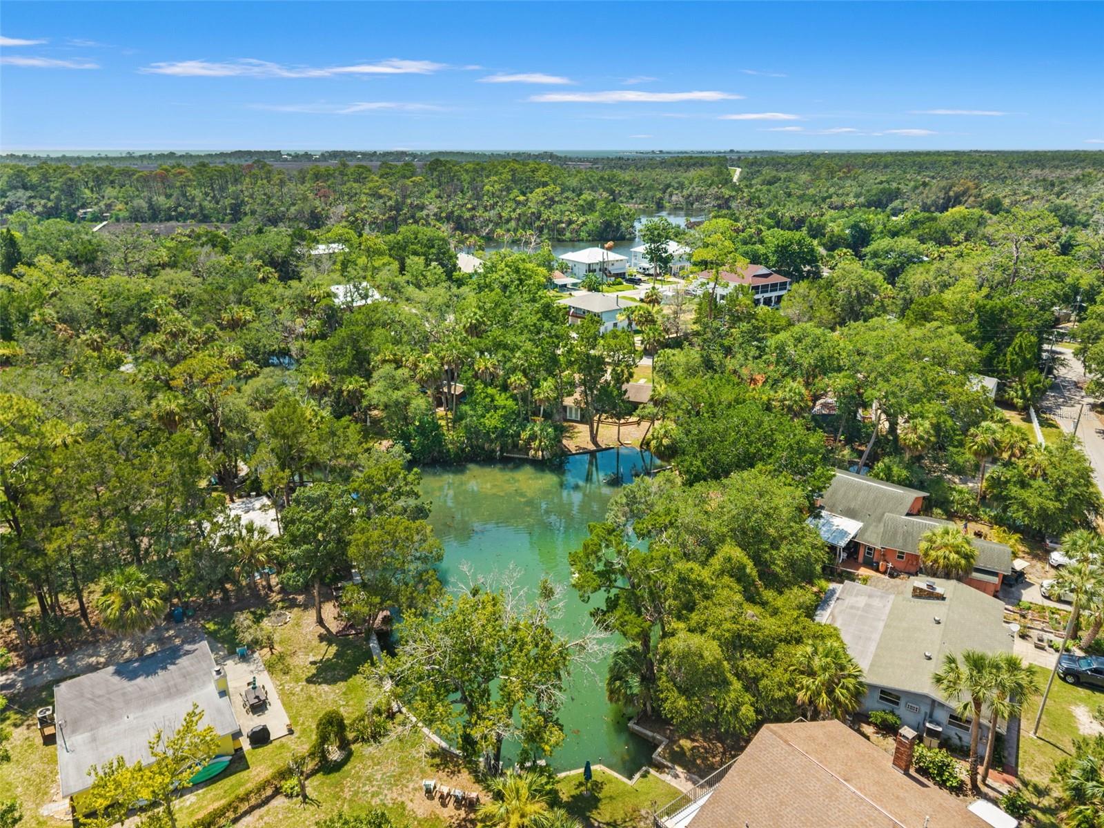 6053 PALM CREEK DR, WEEKI WACHEE, FL — photo 42