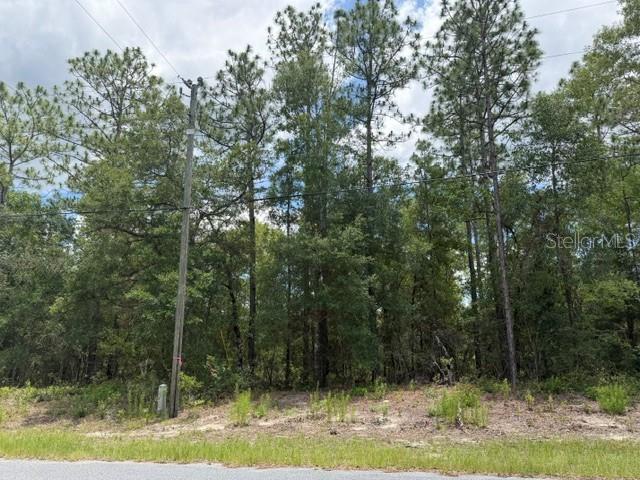 1982 W ROSEBORO DR, DUNNELLON, FL
