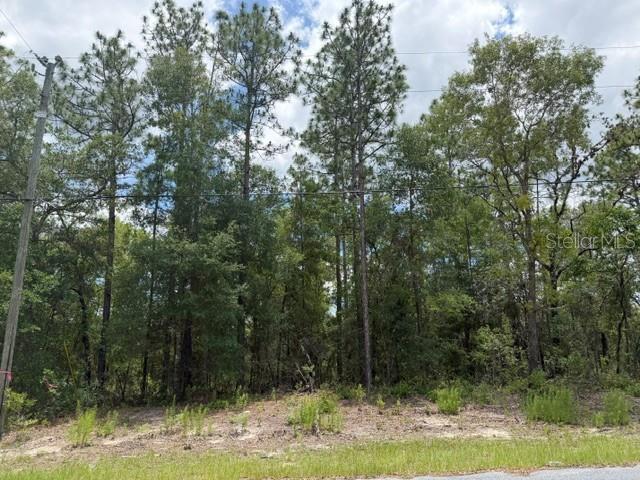 1982 W ROSEBORO DR, DUNNELLON, FL — photo 2