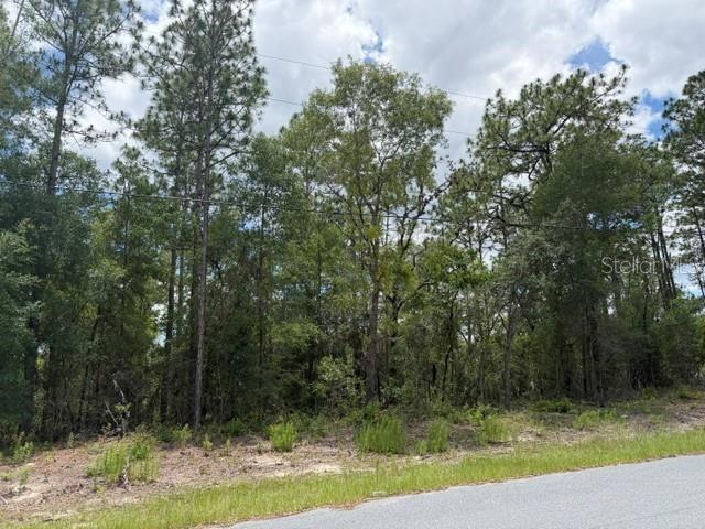 1982 W ROSEBORO DR, DUNNELLON, FL — photo 3
