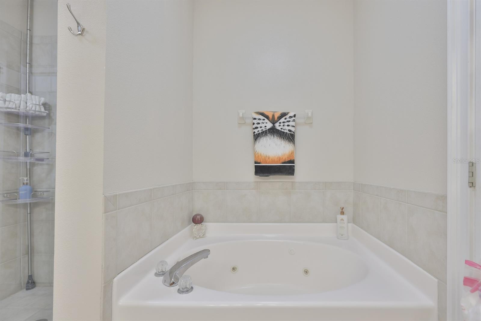 6432 SUNSET BAY CIR, APOLLO BEACH, FL — photo 35