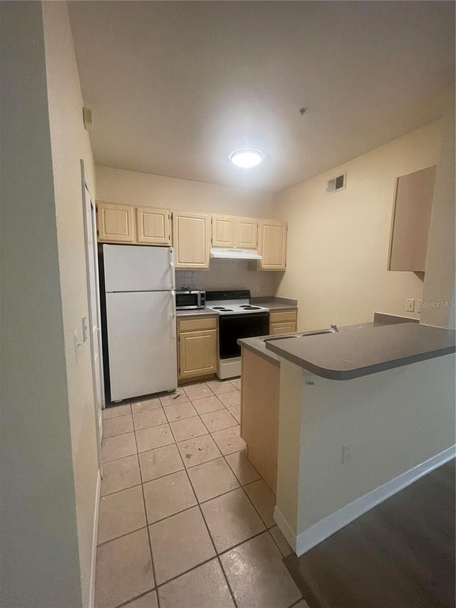 8820 DUNES CT #202, KISSIMMEE, FL — photo 4