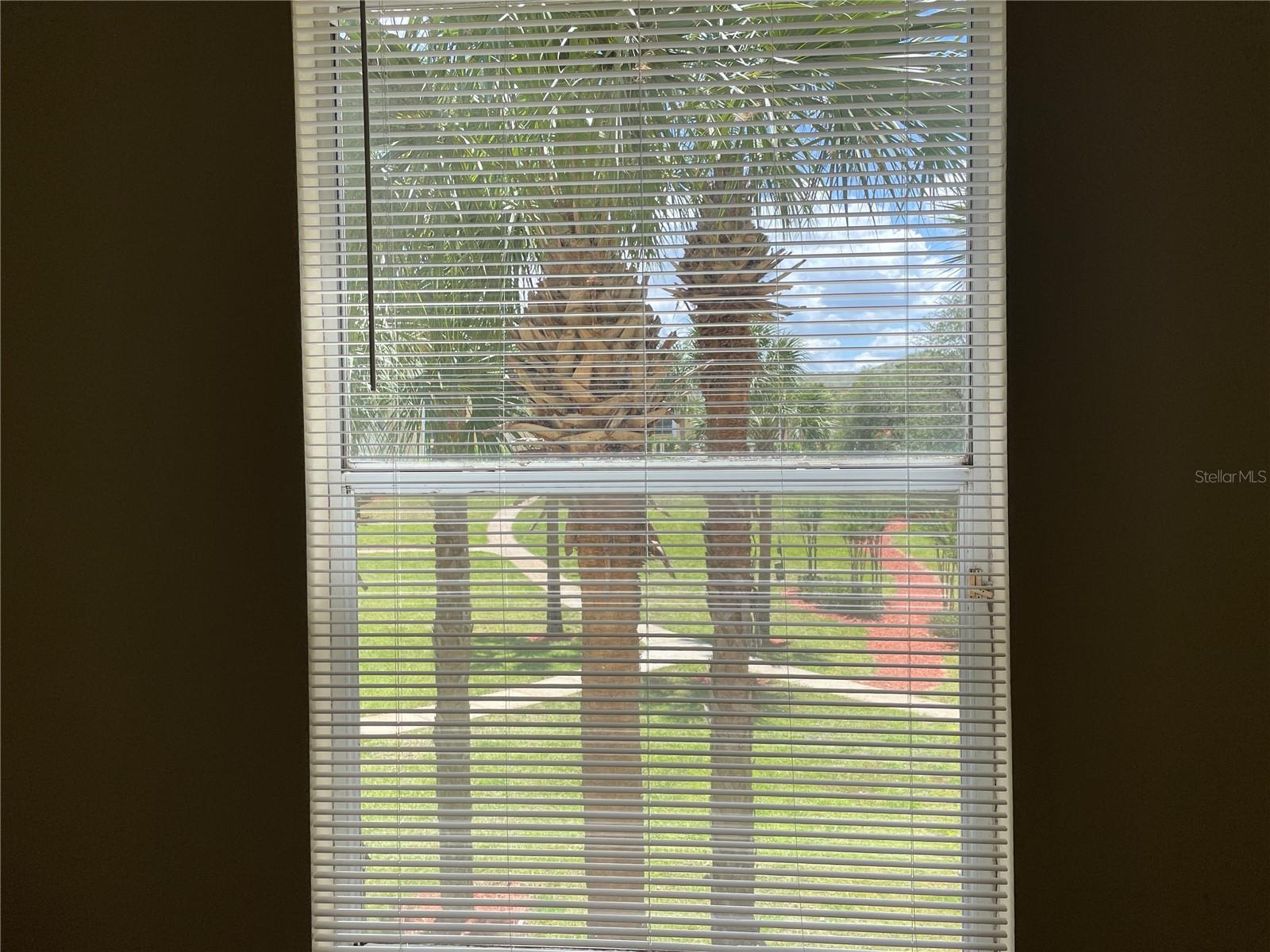 8820 DUNES CT #202, KISSIMMEE, FL — photo 8