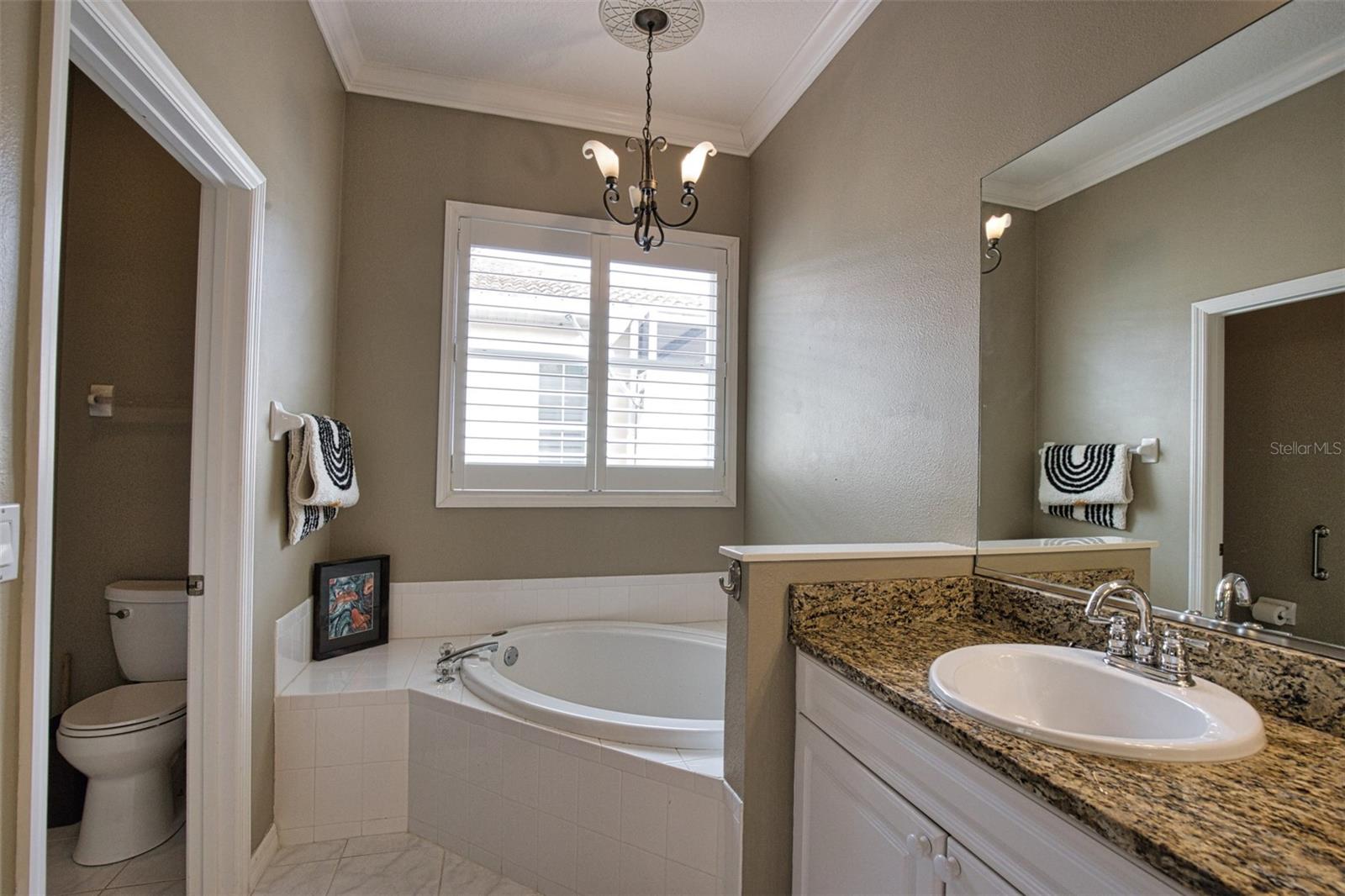 221 RIO TERRA, VENICE, FL — photo 25