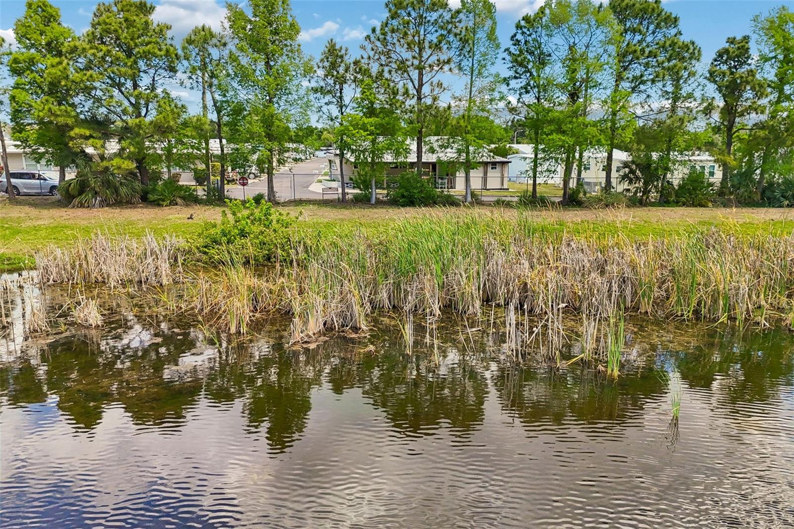 1915 SEMINOLE BLVD #140, LARGO, FL — photo 32
