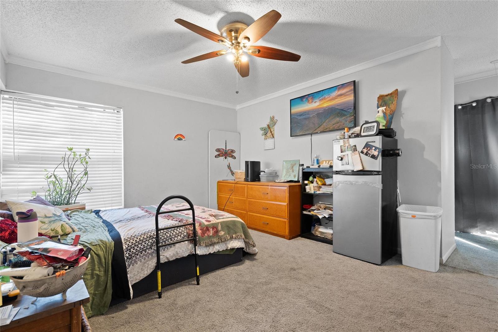 15648 BEAR CREEK DR, TAMPA, FL — photo 18