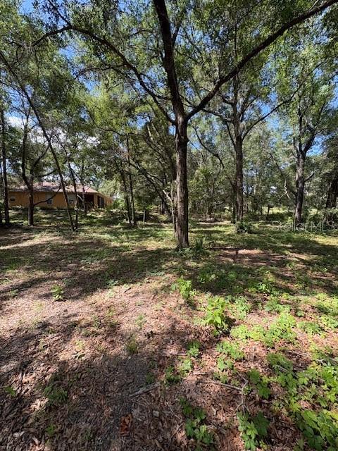 9273 SW 197TH CIR, DUNNELLON, FL — photo 5