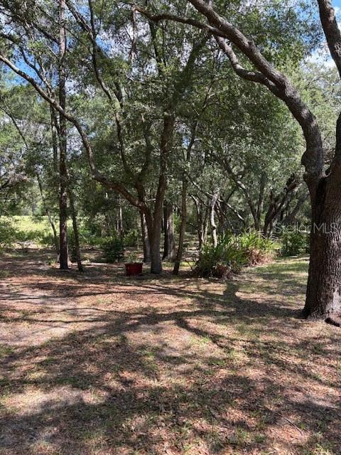 9273 SW 197TH CIR, DUNNELLON, FL — photo 8