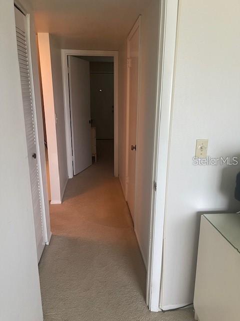 3510 S OCEAN SHORE BLVD #215, FLAGLER BEACH, FL — photo 12