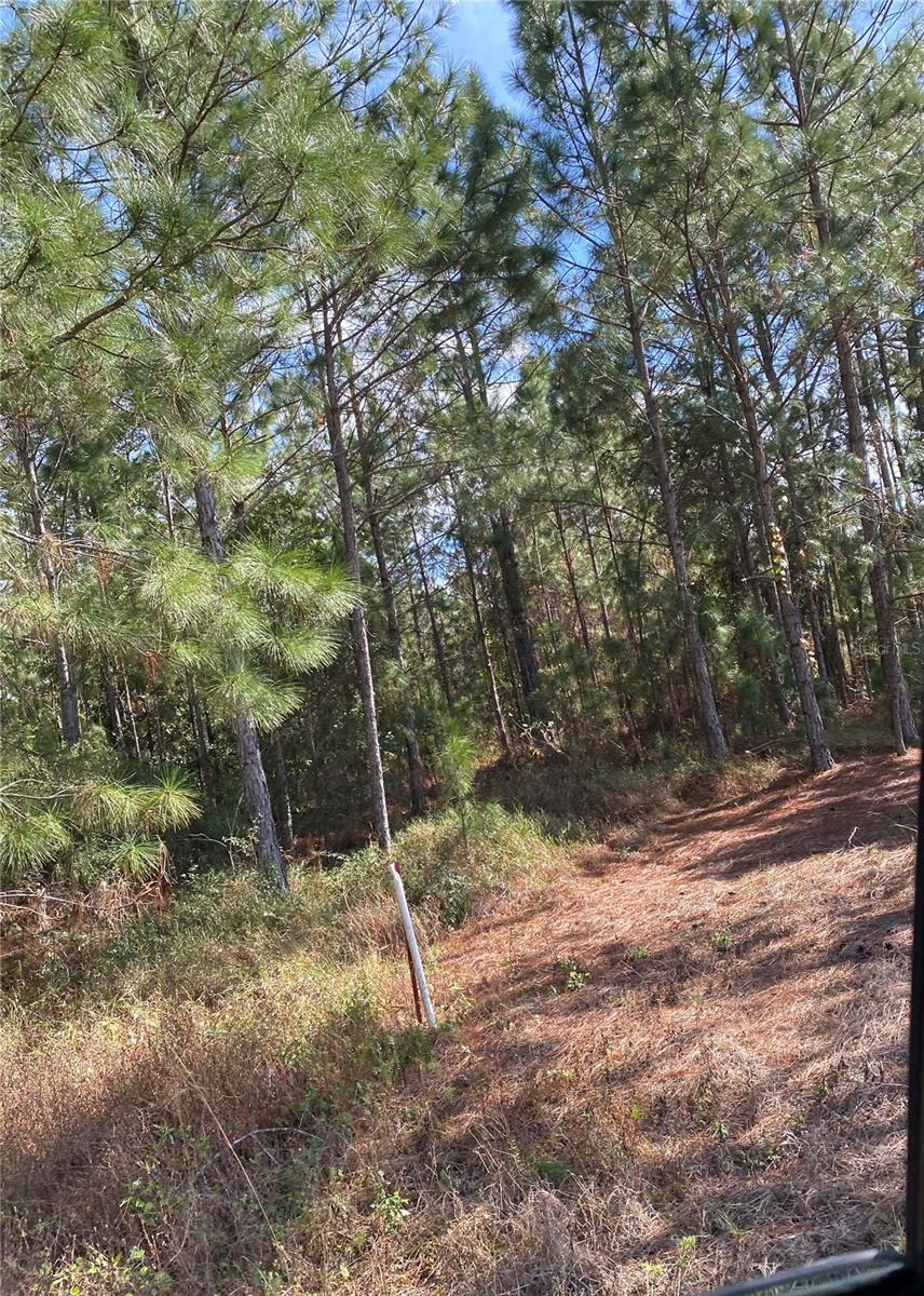 , POLK CITY, FL