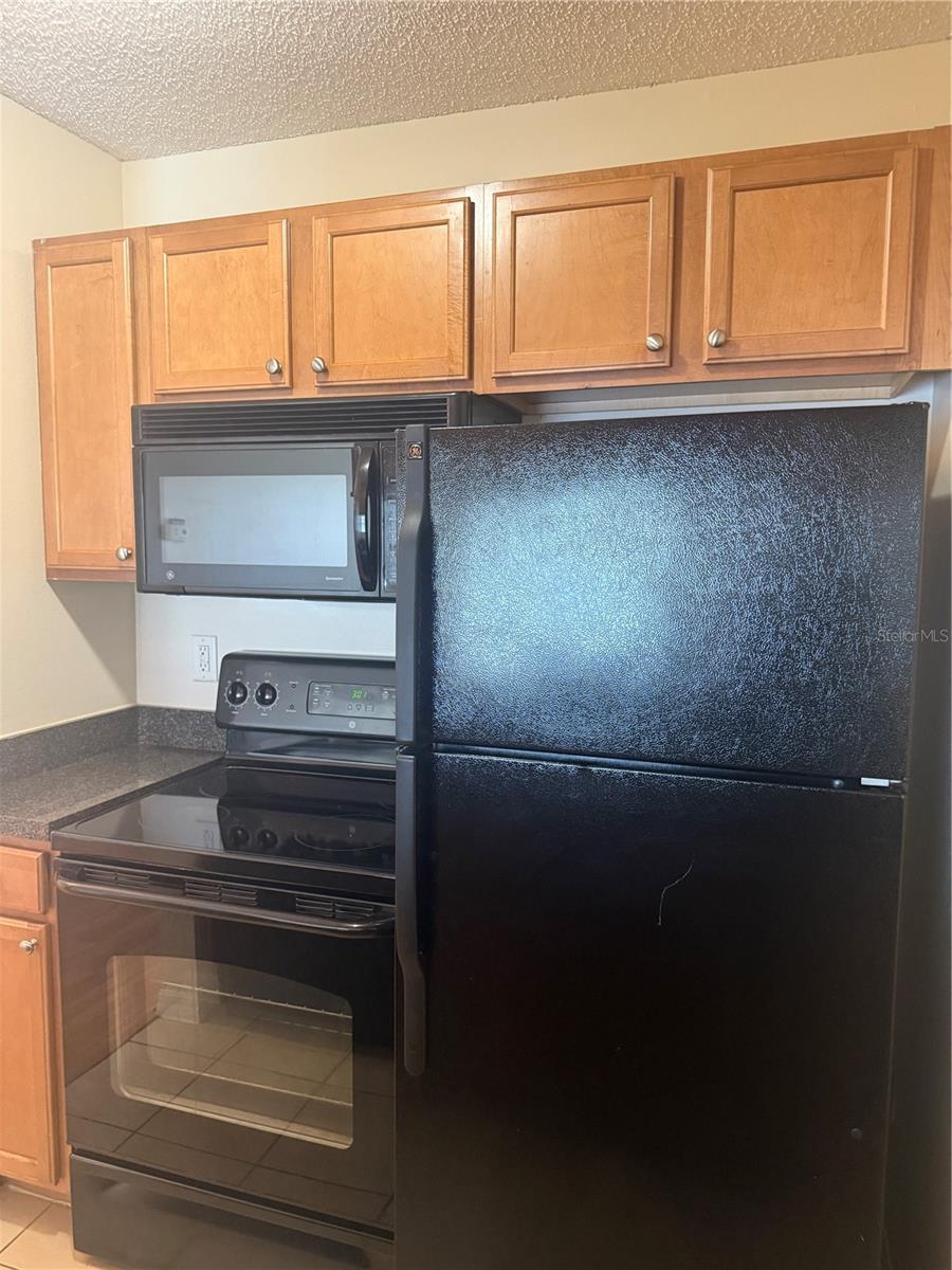 220 LAKE PARSONS GRN #205, BRANDON, FL — photo 10