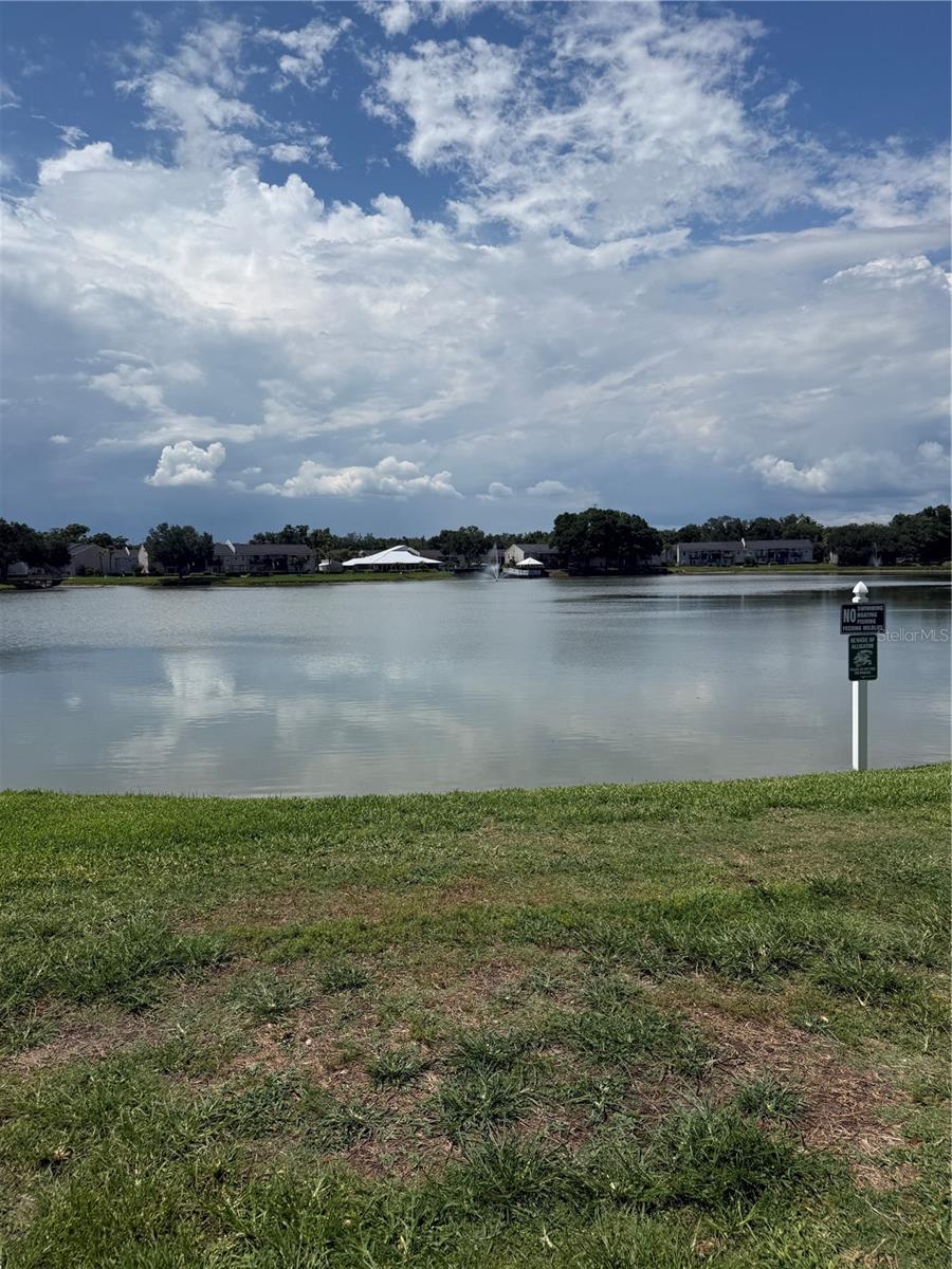 220 LAKE PARSONS GRN #205, BRANDON, FL — photo 27
