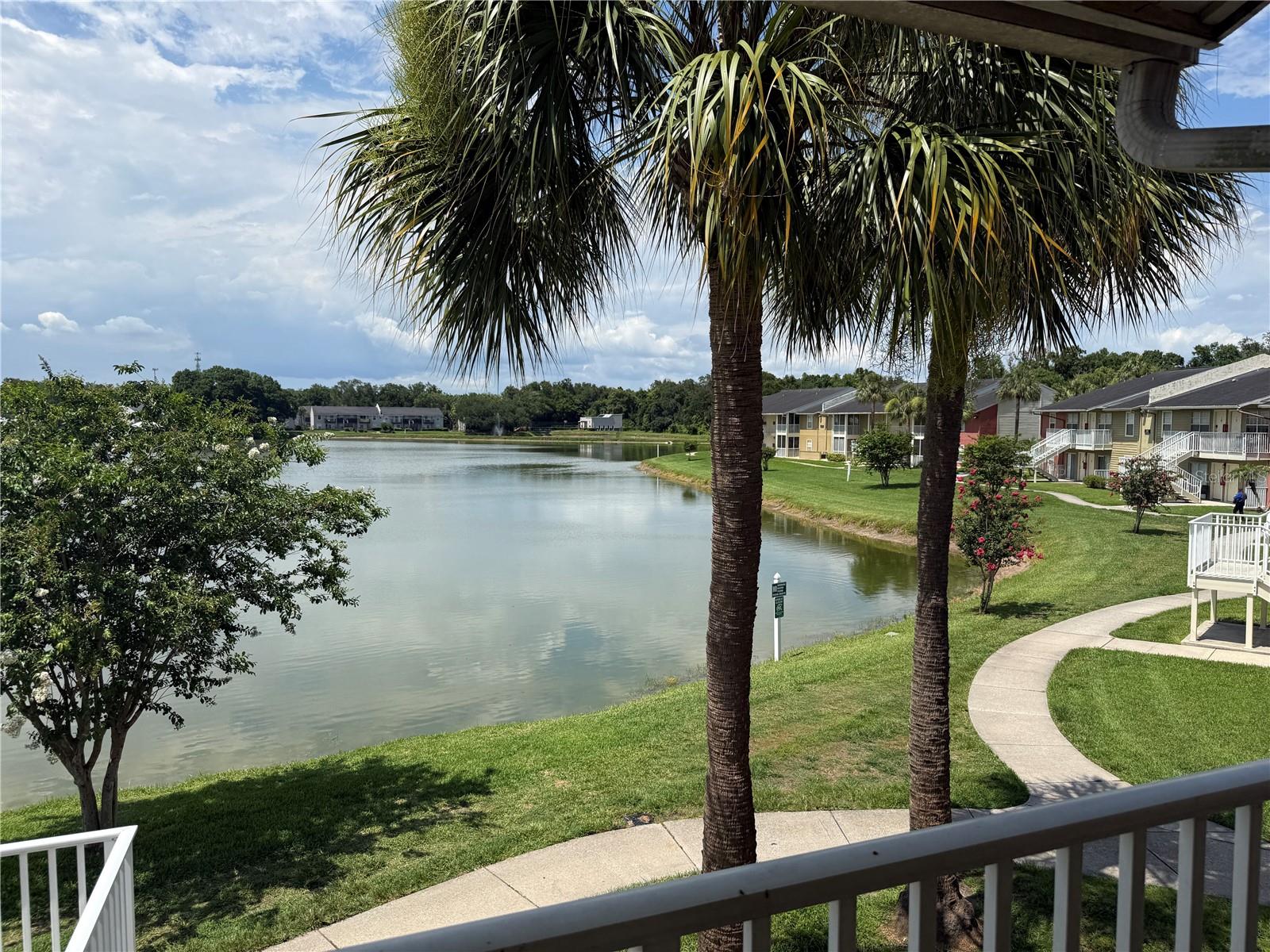220 LAKE PARSONS GRN #205, BRANDON, FL — photo 31